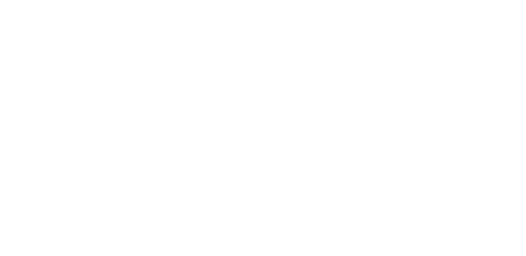 Asheville Mind Reading Show